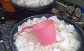 Giat, Rabu 15 April 2026 ‎ ‎Kunjungan lapangan bersama Dinas Perindustrian dan Perdagangan (DISPERINDAG) Kota Samarinda di wilayah Kelurahan Sempaja Barat dihadiri oleh Staf Ekbang ke beberapa UMKM seperti Industri Pengolahan Pangan Peyek, Industri Pengolahan Mie Ayam dan Pangsit ‎Industri Pengolahan Pangan Keripik dari Singkong Gajah.