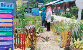 Pembinaan Dasa Wisma Lomba Kebun Toga