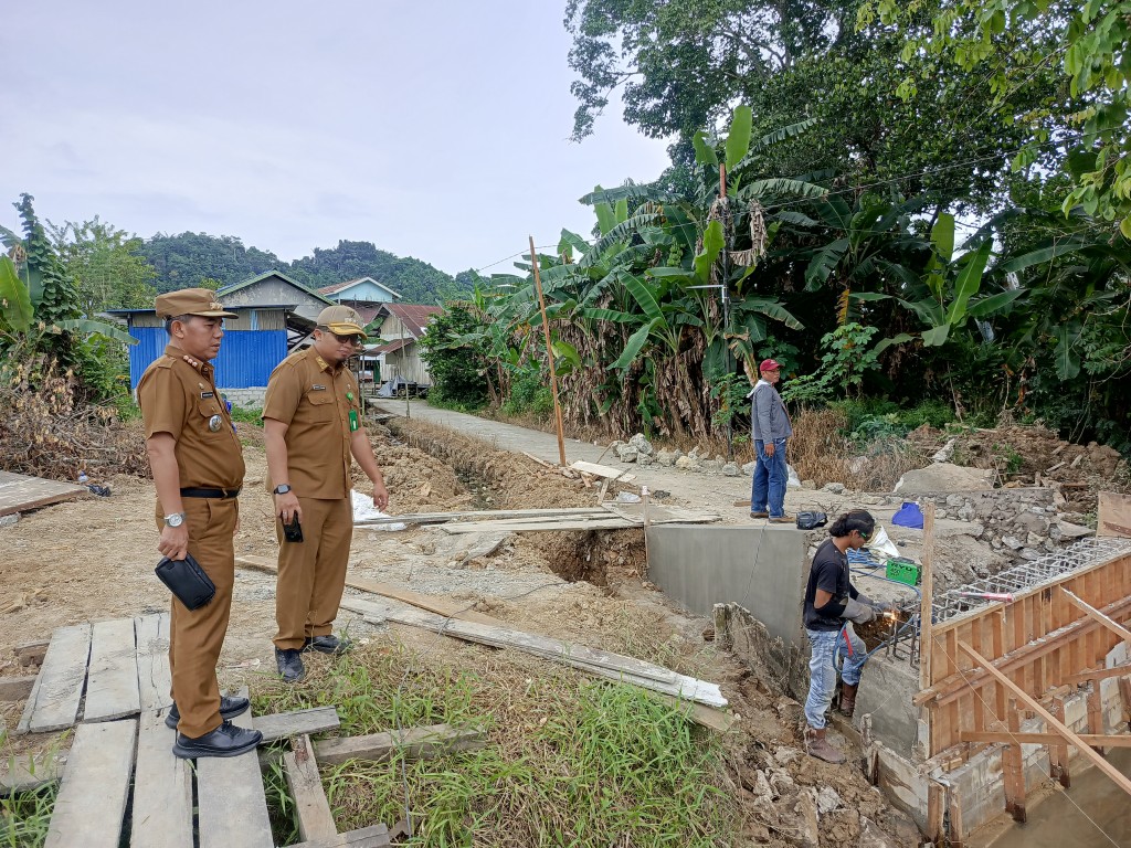 Peninjauan jembatan penghubung kelurahan simpang pasir dan kelurahan Handil Bakti