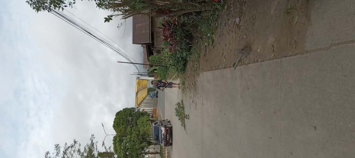 Potong rumput d jln trikora