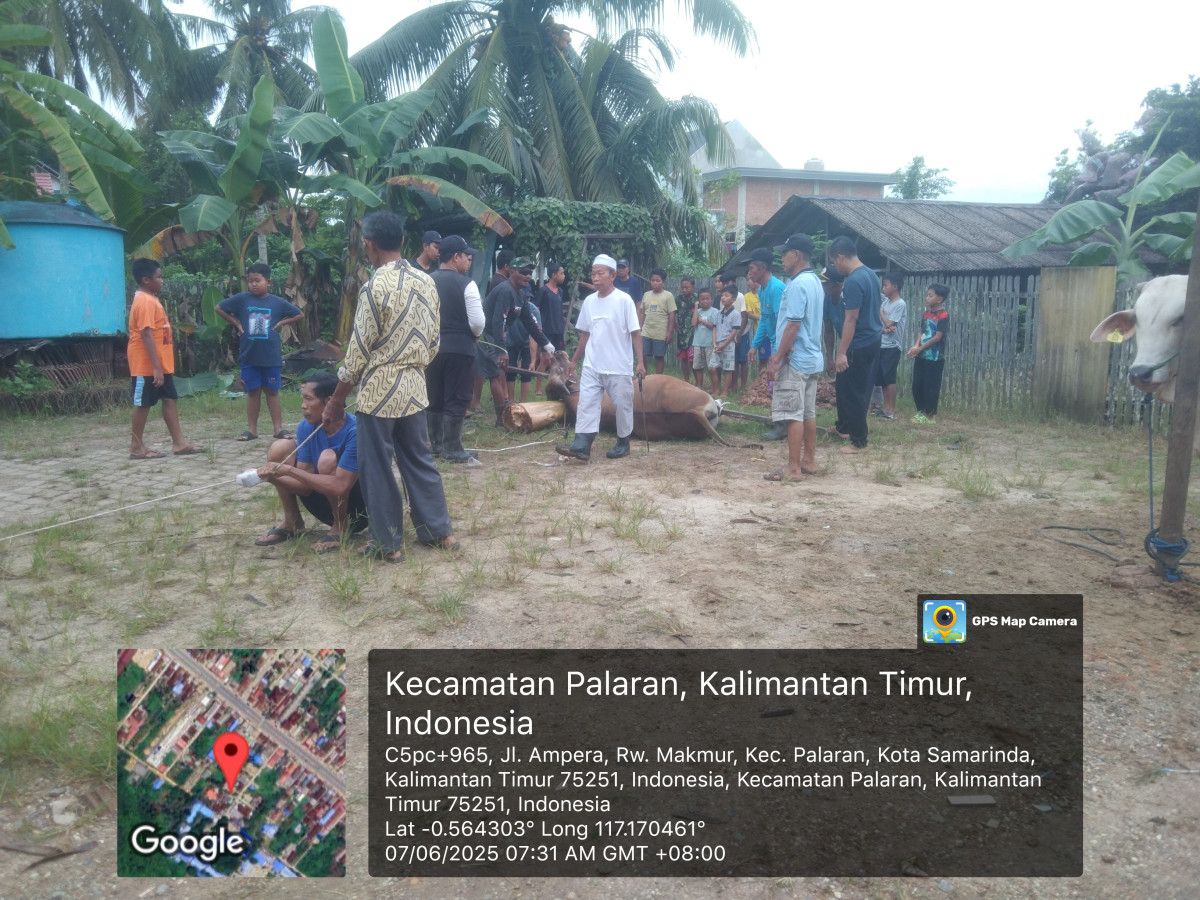 Gotong royong pemotongan hewan kurban