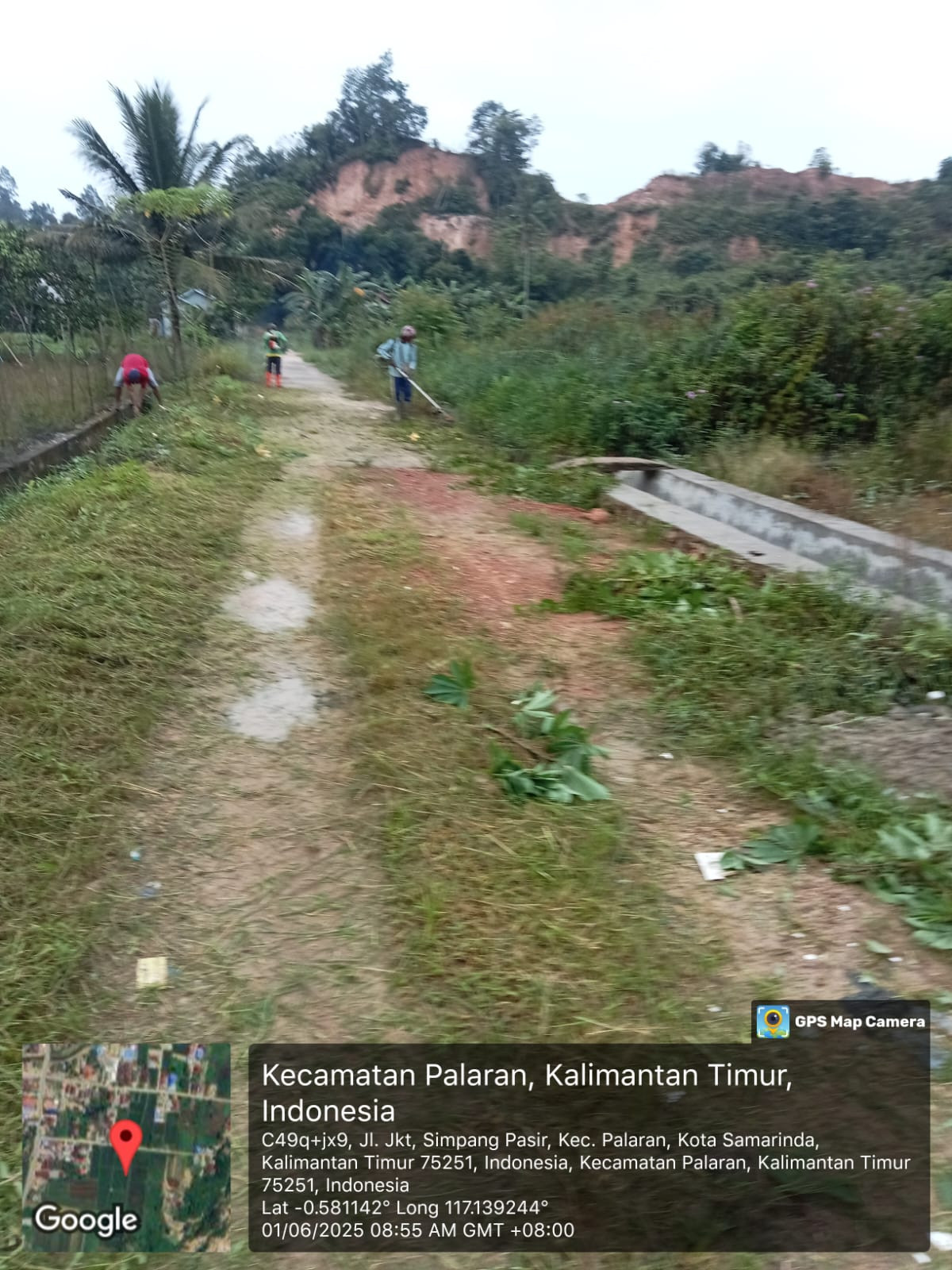 Pembersihan rumput