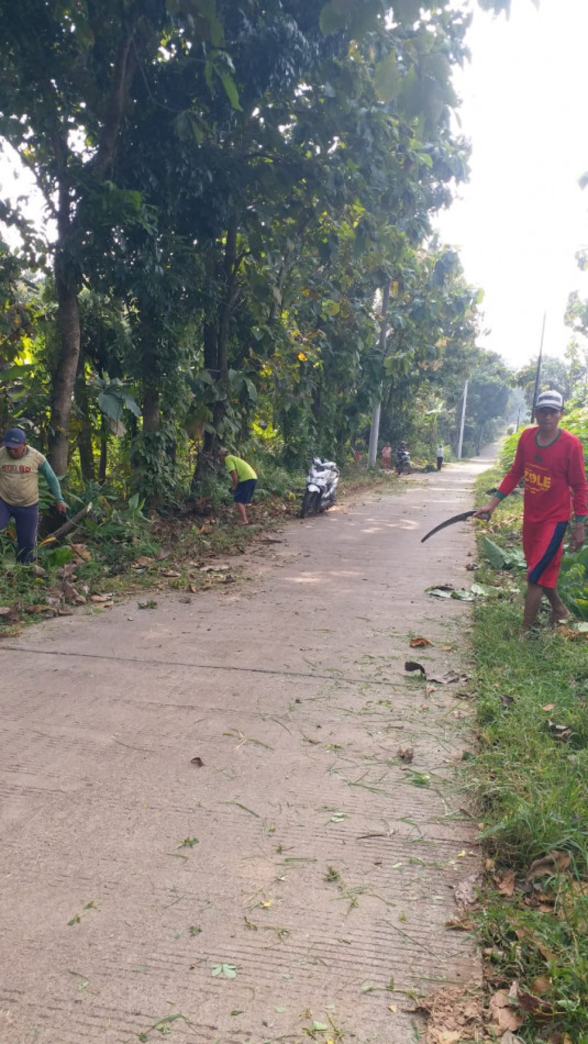 Gotong royong membersihkan rumput liar
