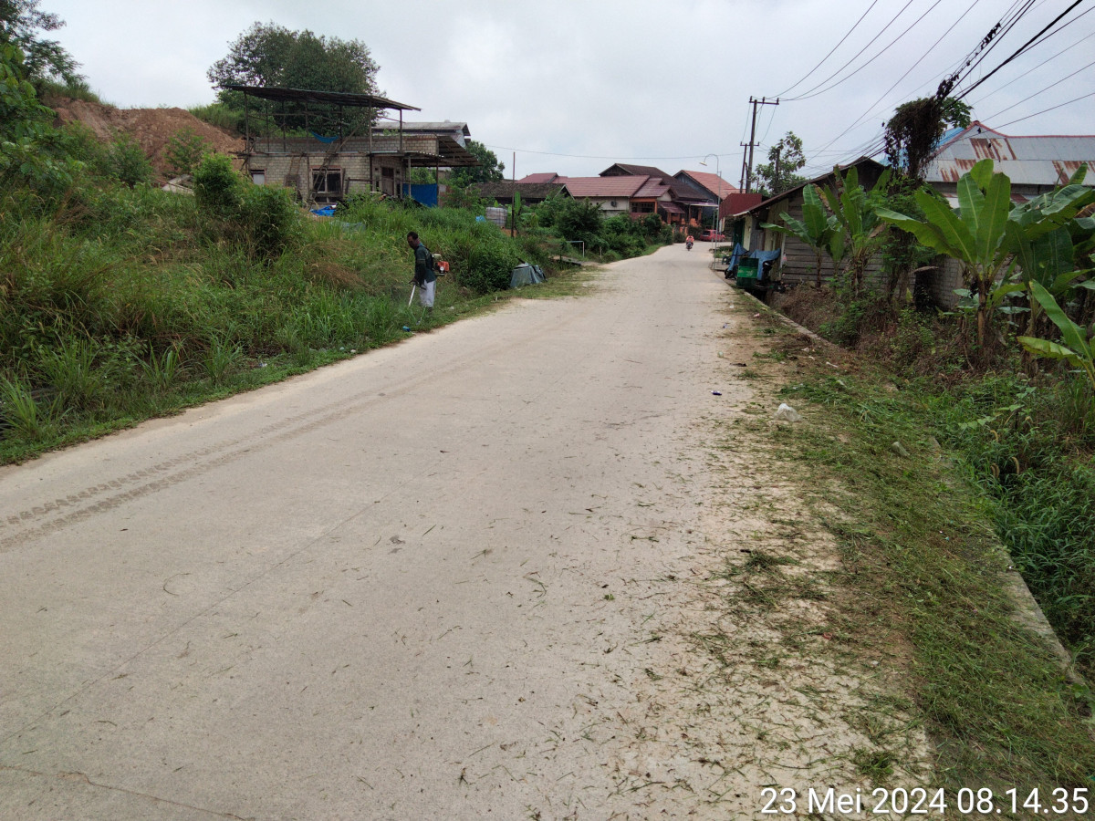 Pemotongan rumput
