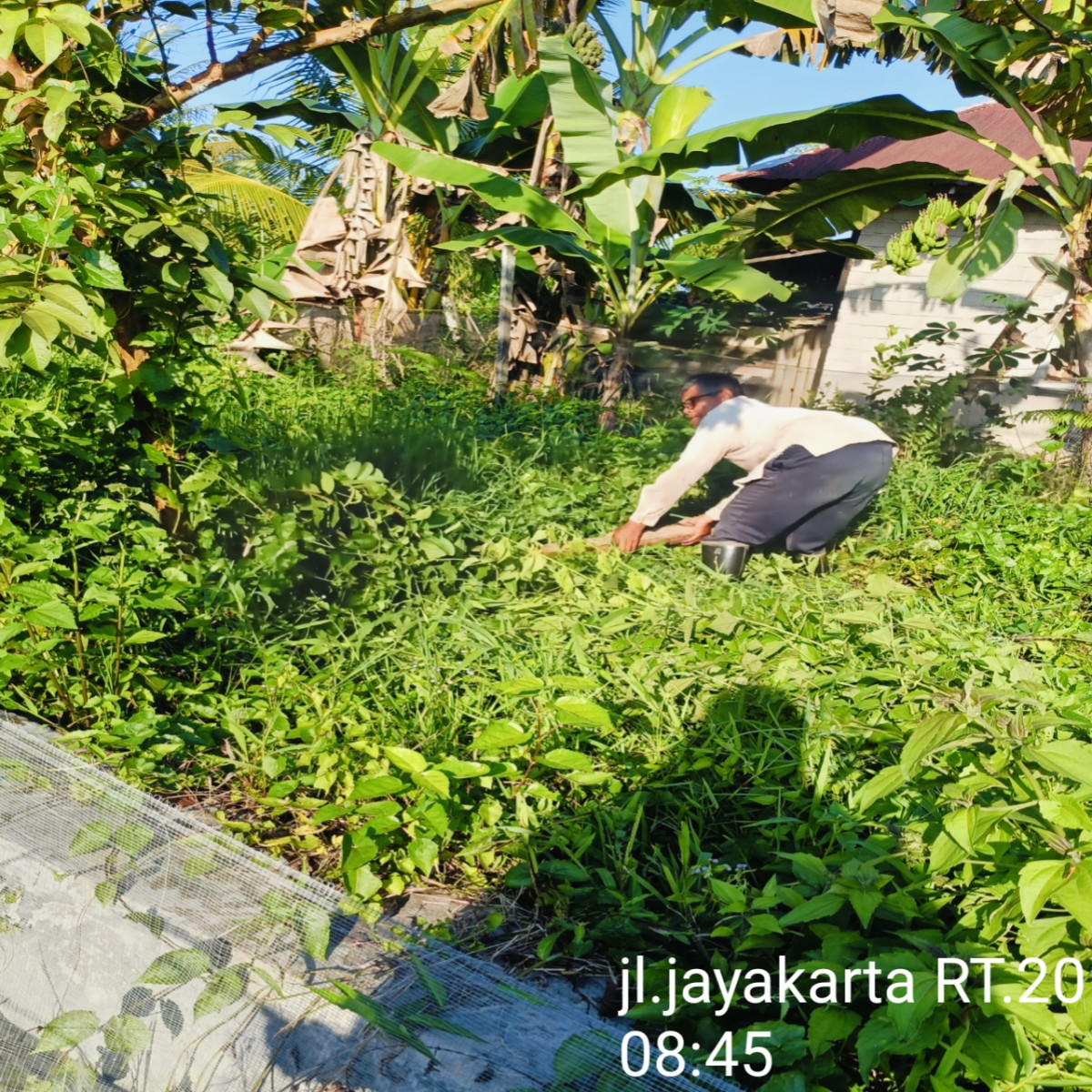 Gotong royong