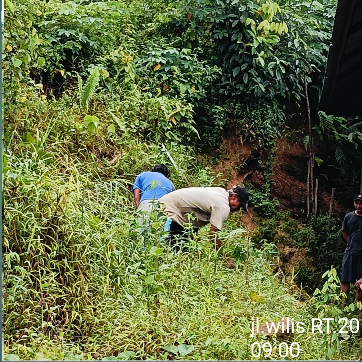 Pembersihan lahan untuk gudang
