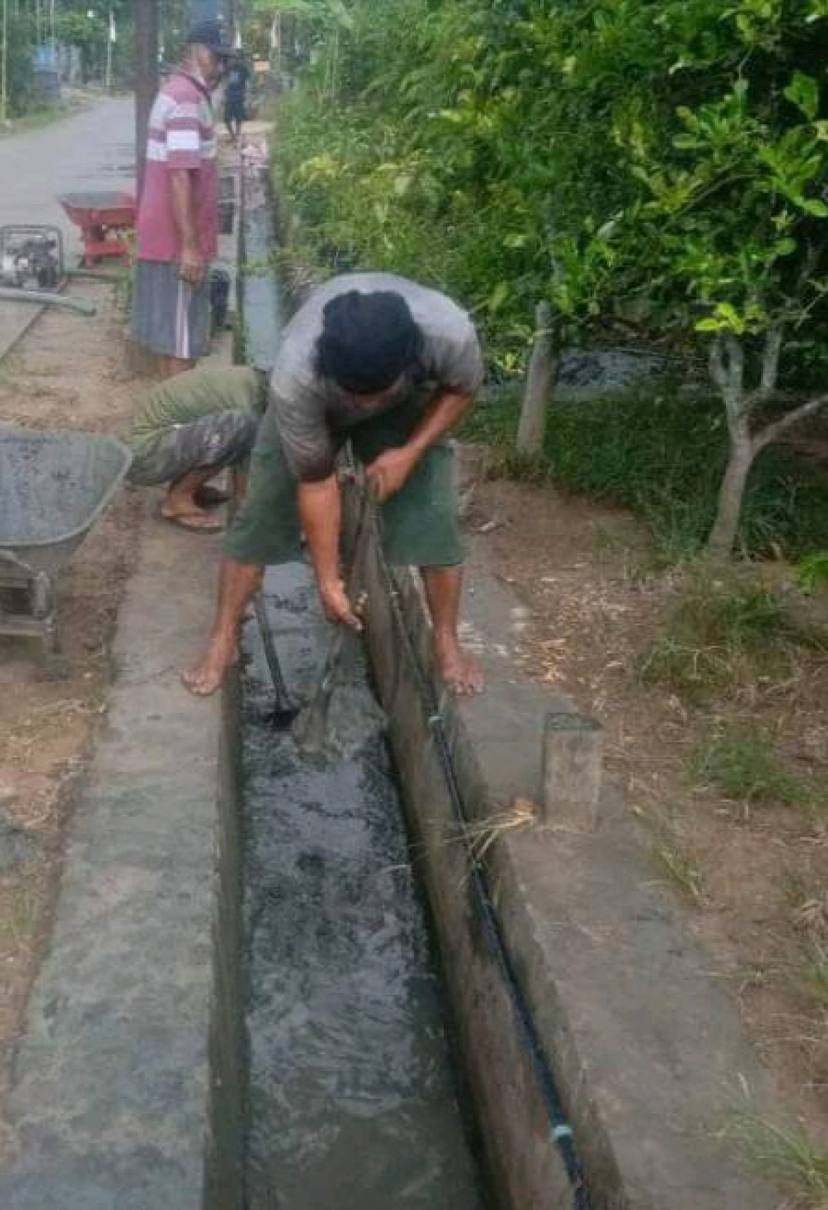 Bersih paret