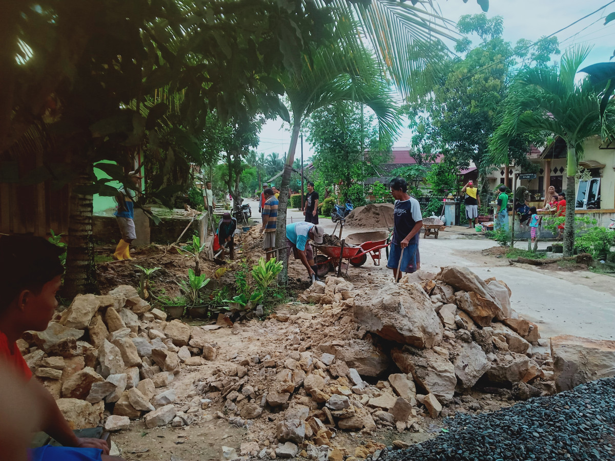 Penebangan pohon