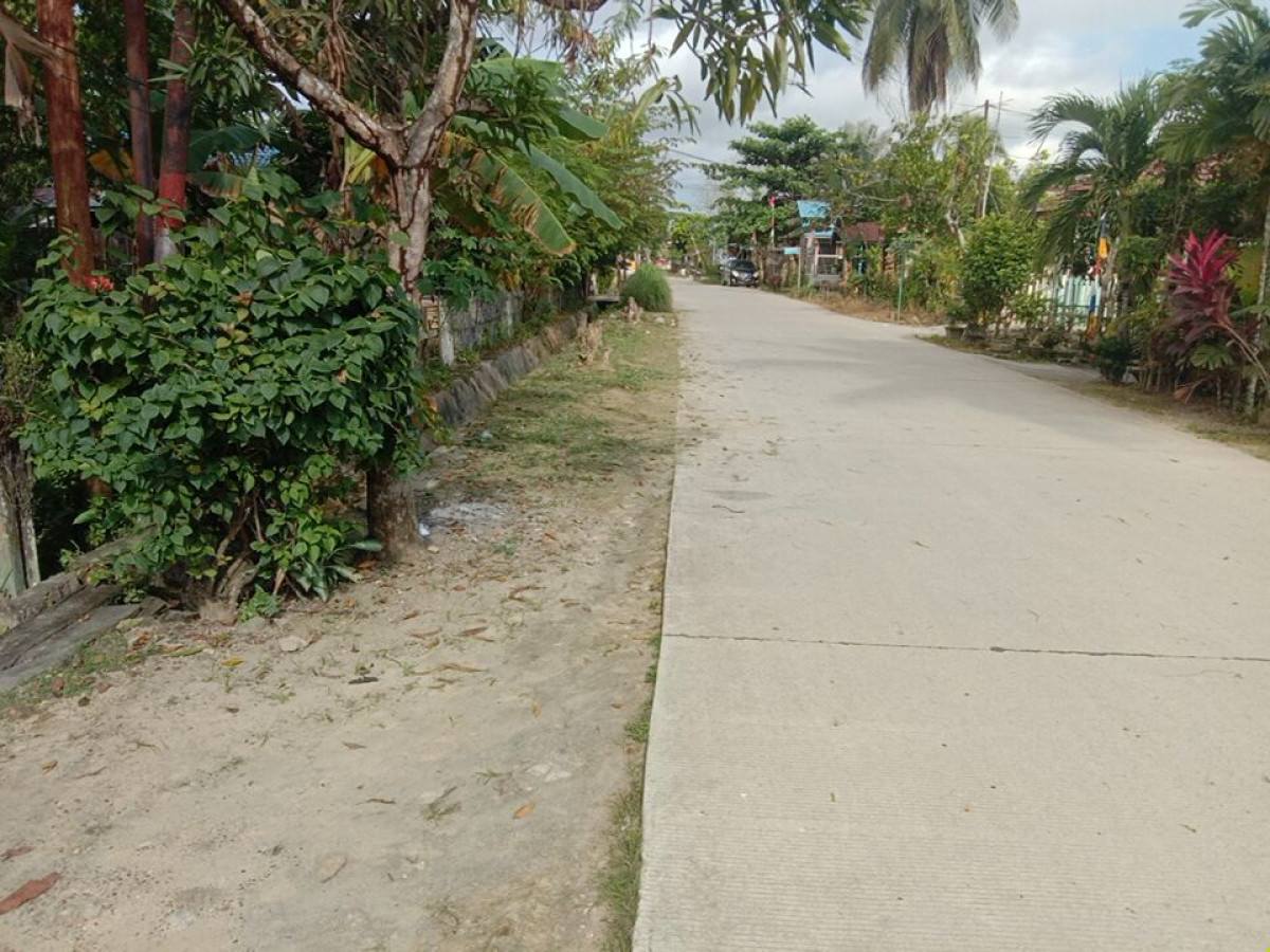 Bersih kan rumput jln kesehatan