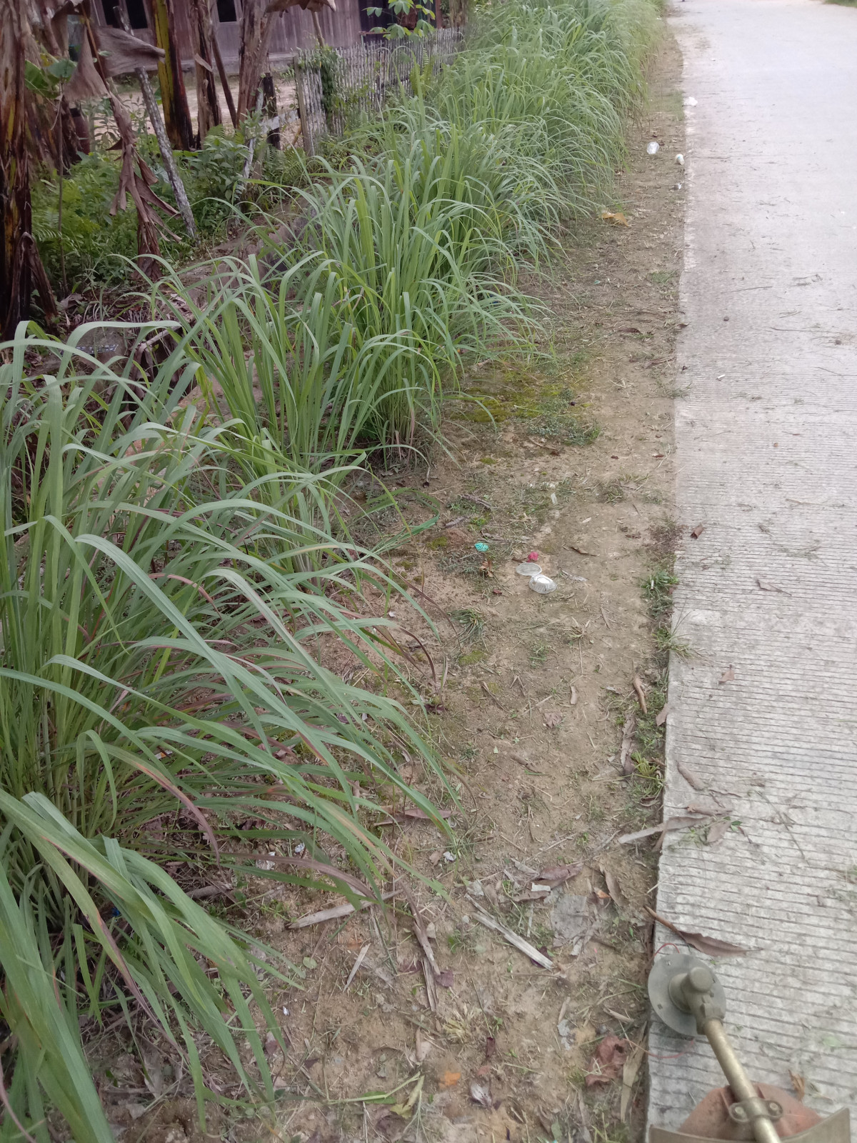 Jln kesehatan RT 33 Rawa Makmur 6