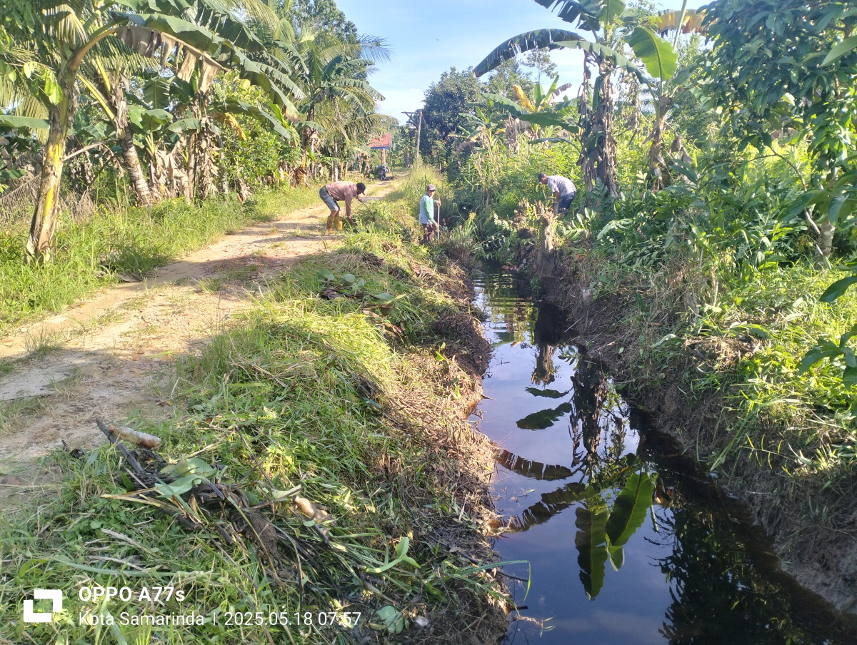 Pembersihan lingkungan dan drenase