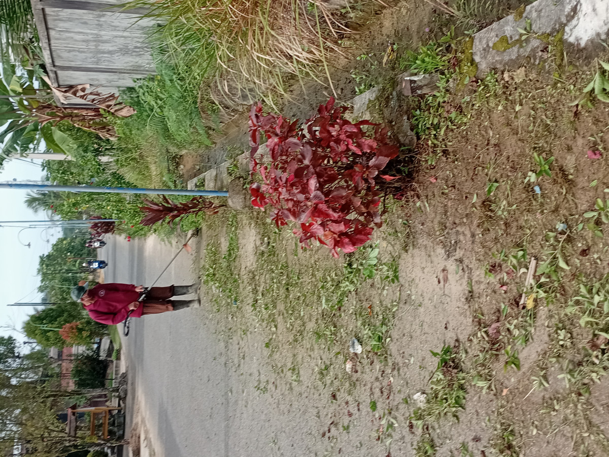 Gotong royong