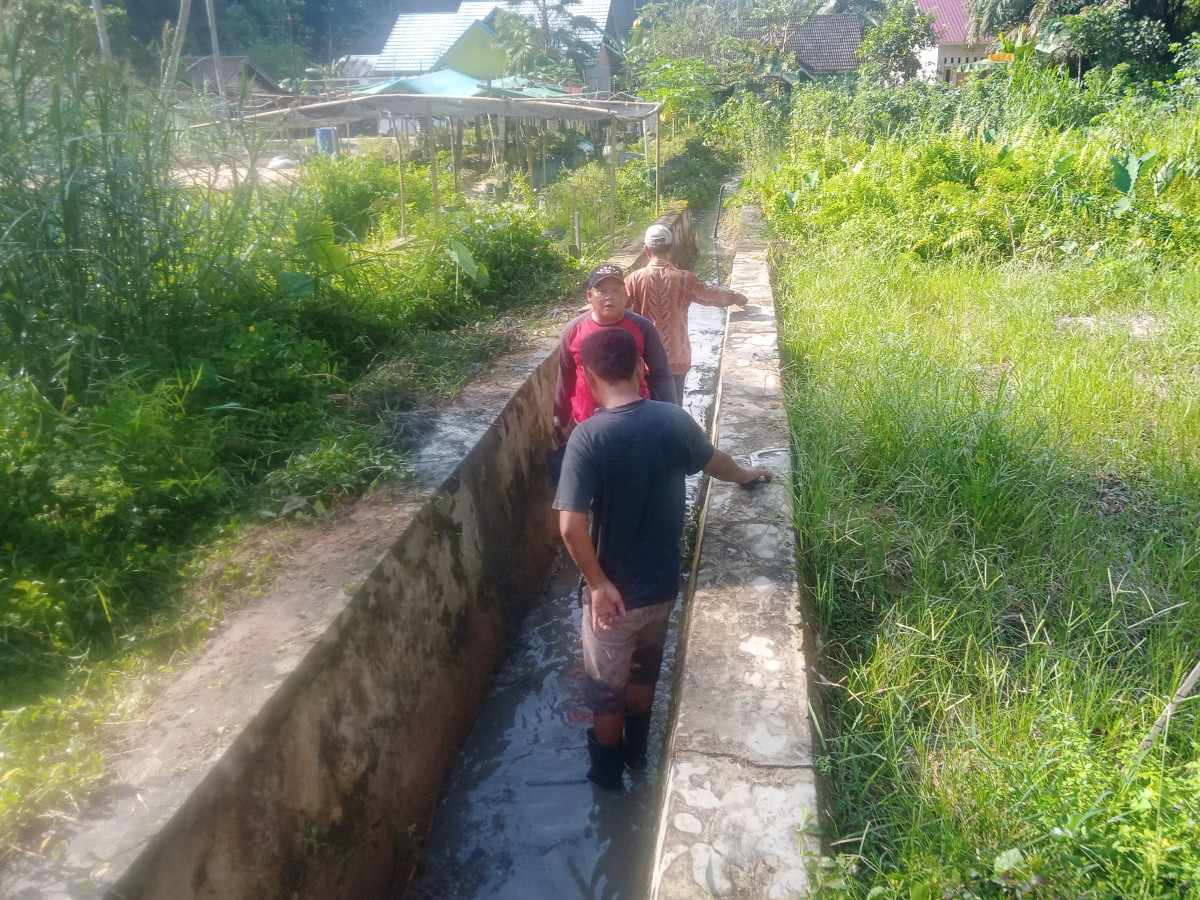 Pembersihan drainase