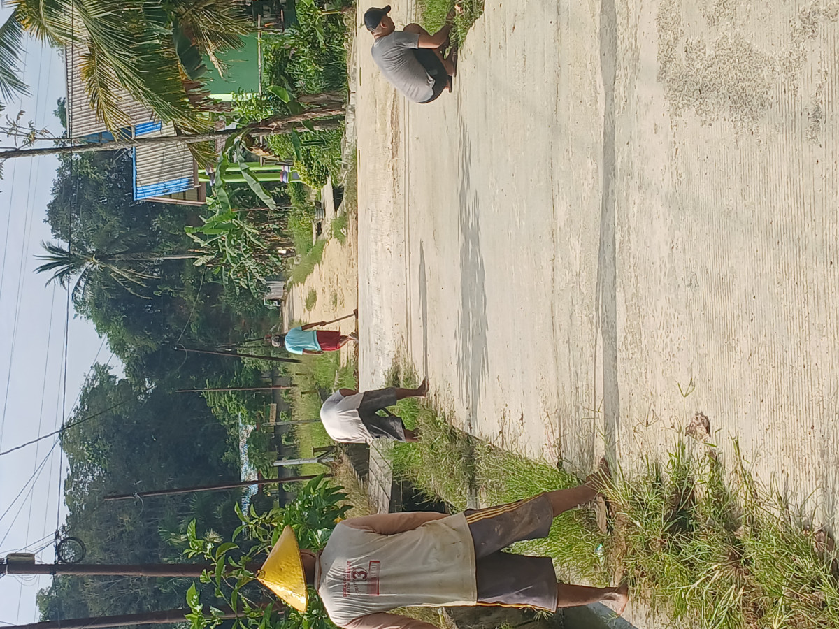 Pembersihan rumput di jalan