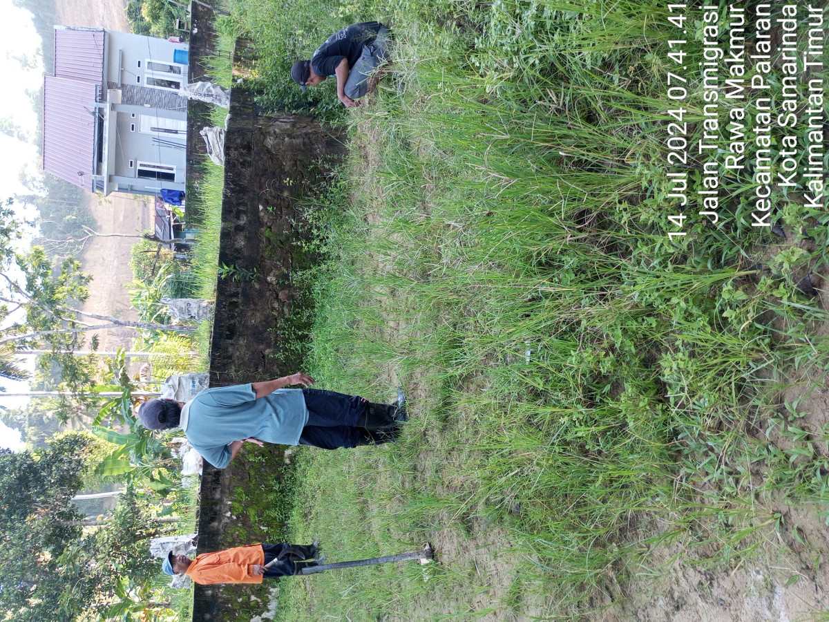 Merintis kebun PKK mekar Sari RT 45 . RM.