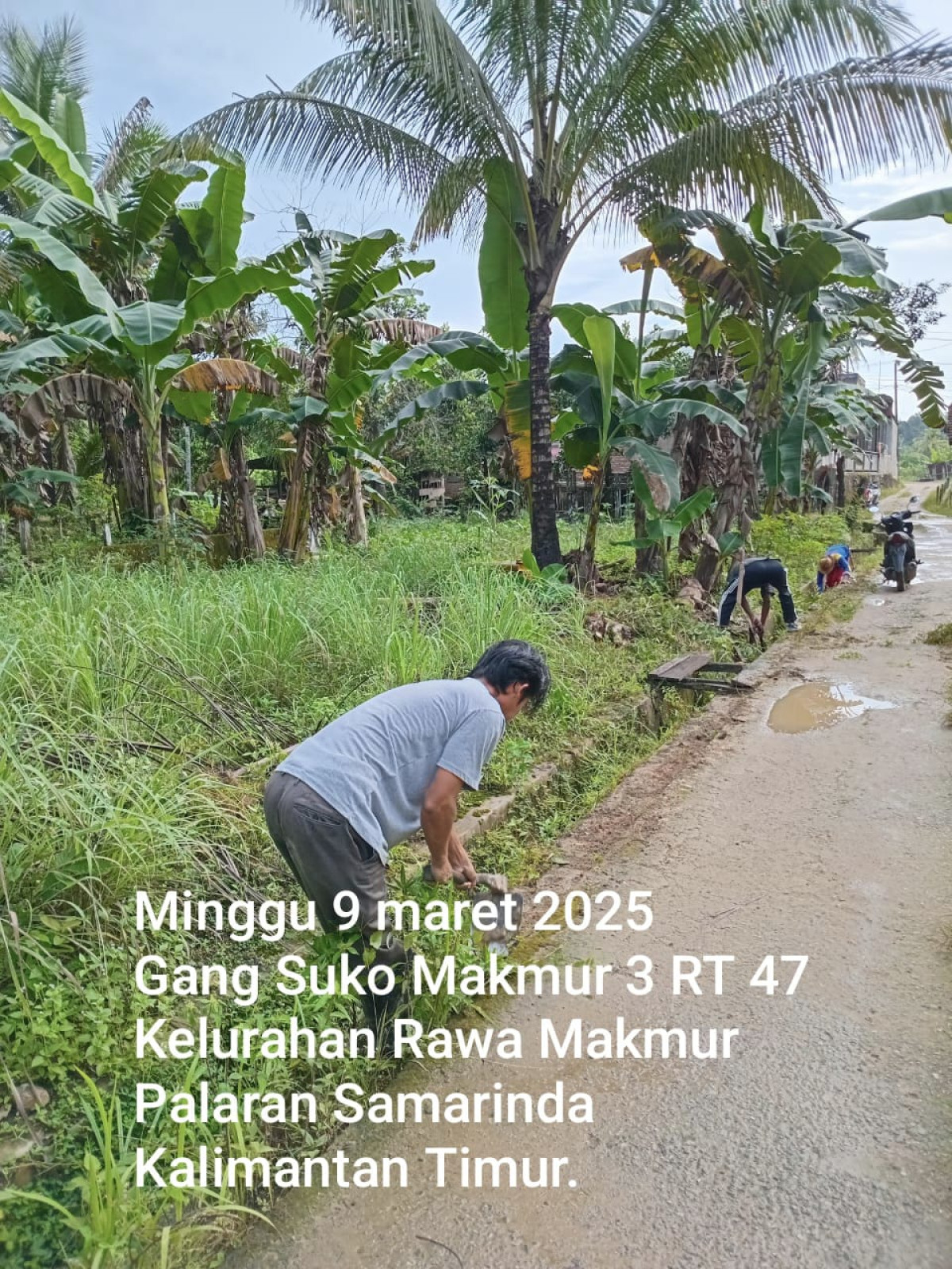 Pemotongan rumput dan pembersihan sampah