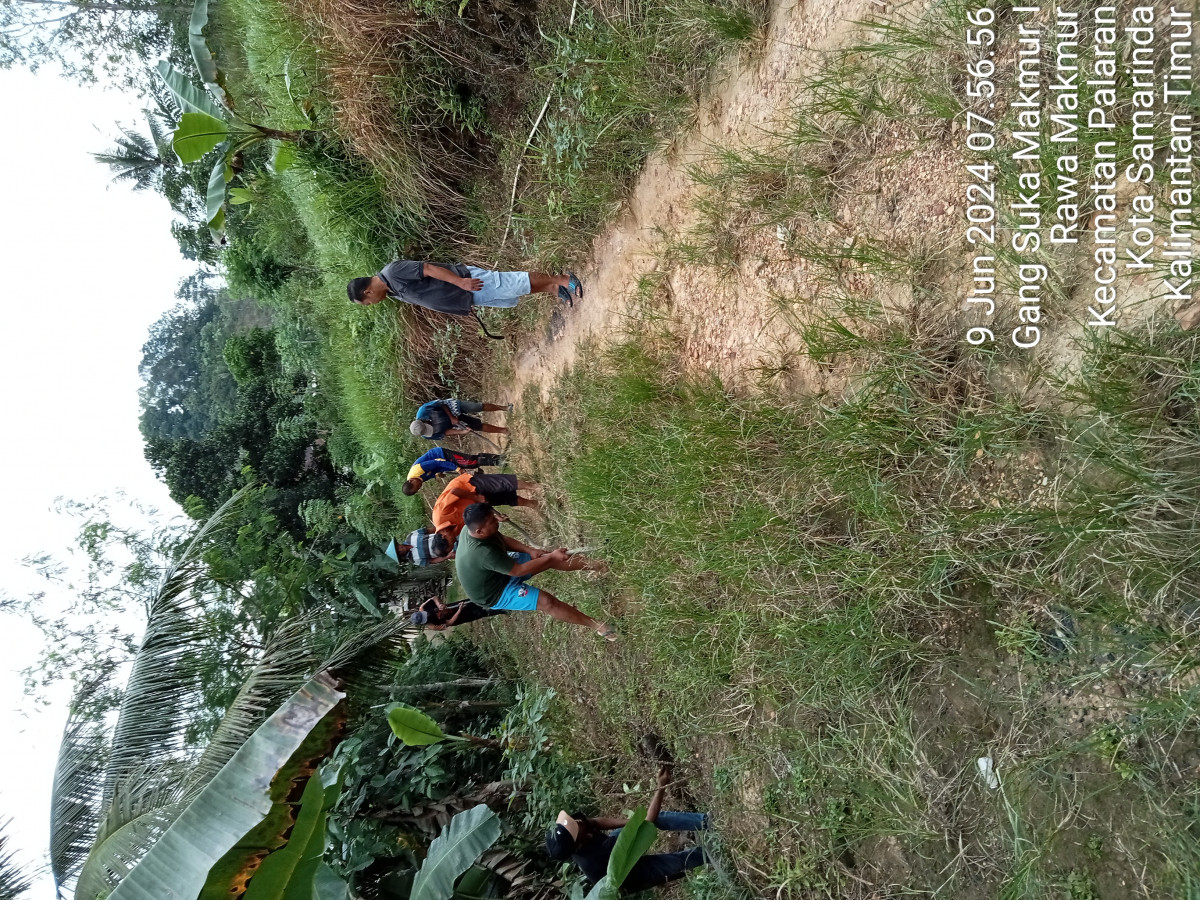 Pembersihan rumput.