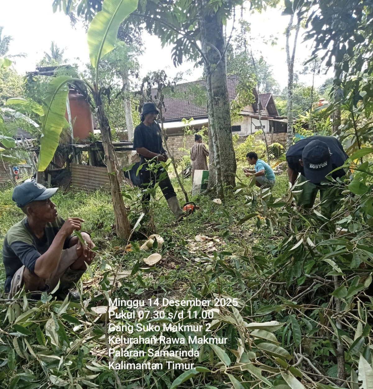 Gotong royong penebangan pohong