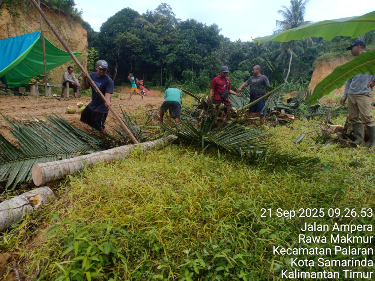 Memotong pohon kelapa untuk kaso untuk pembagunan masjid