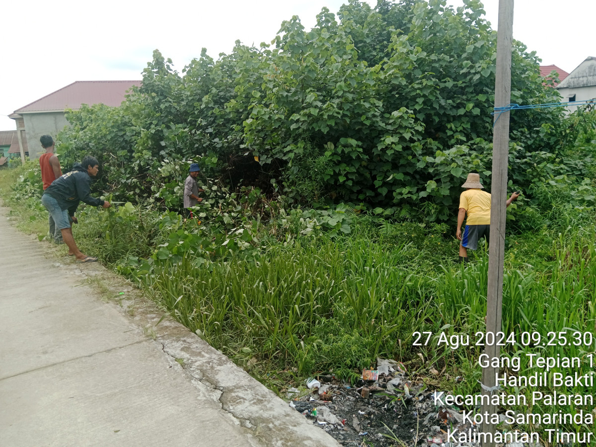 merintis rumput dan pohon liar