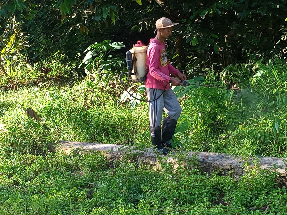 penyemprotan rumput lingkungan RT 7