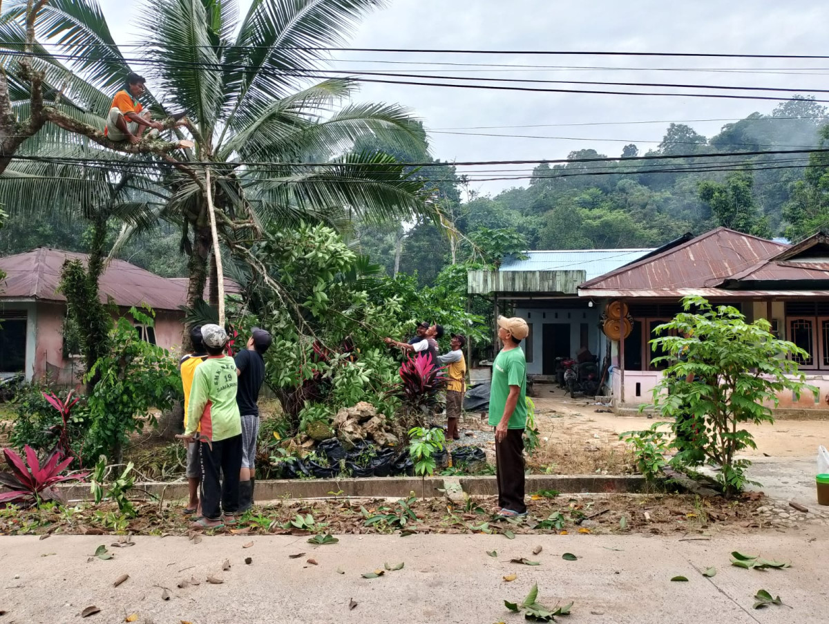 Gotong royong penebangan pohon yang mengganggu kabel listrik