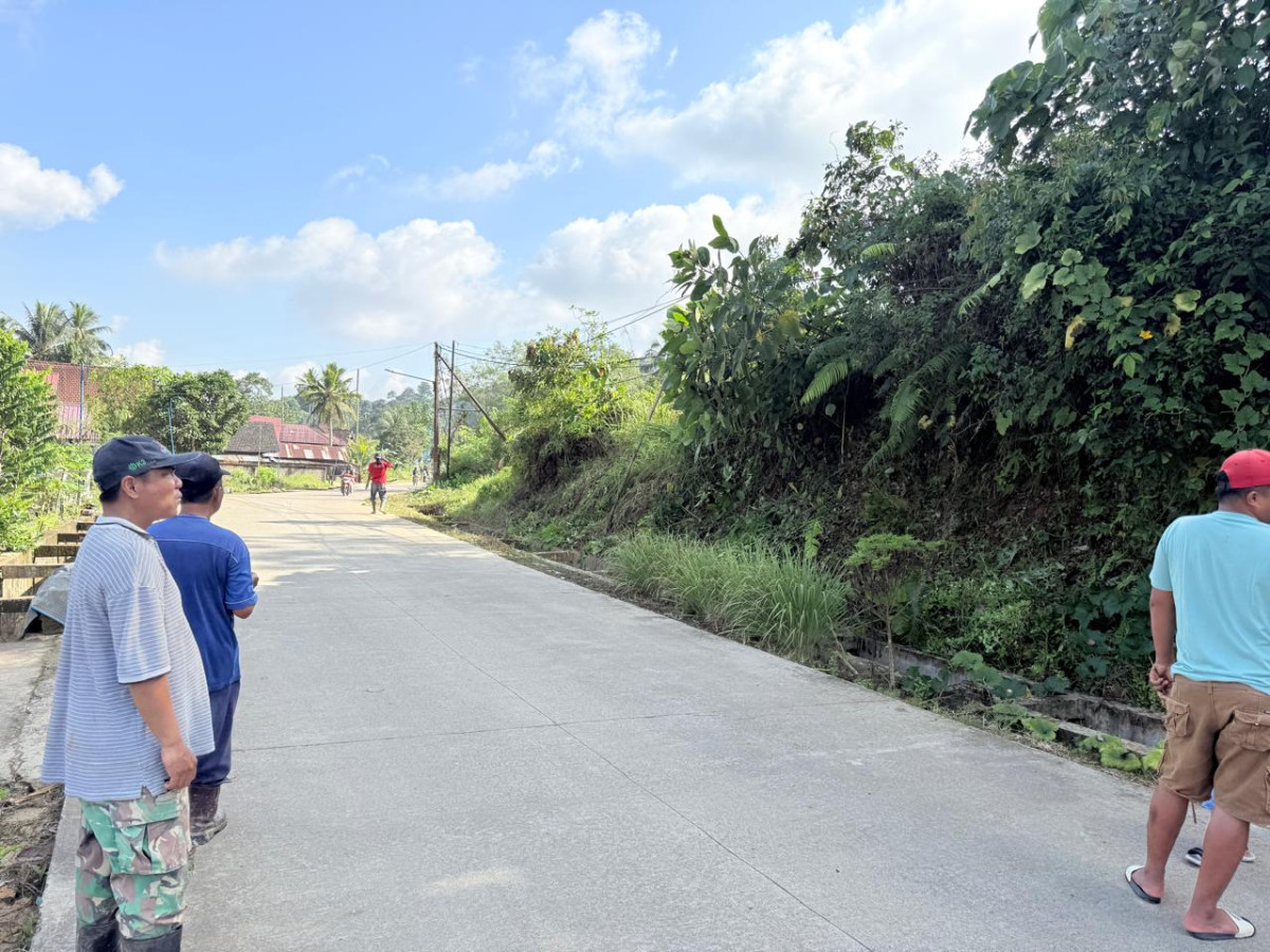 Pemberisahan lahan di tiang lampu pln