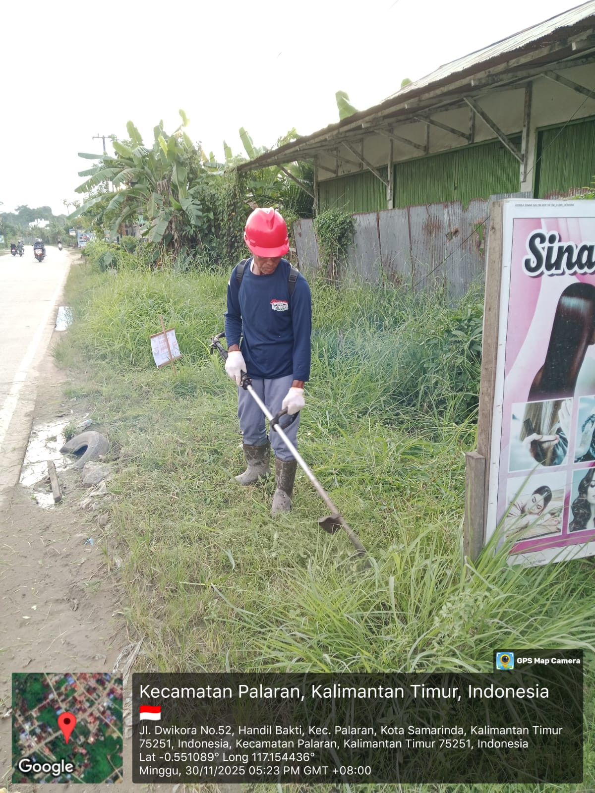 potong rumput