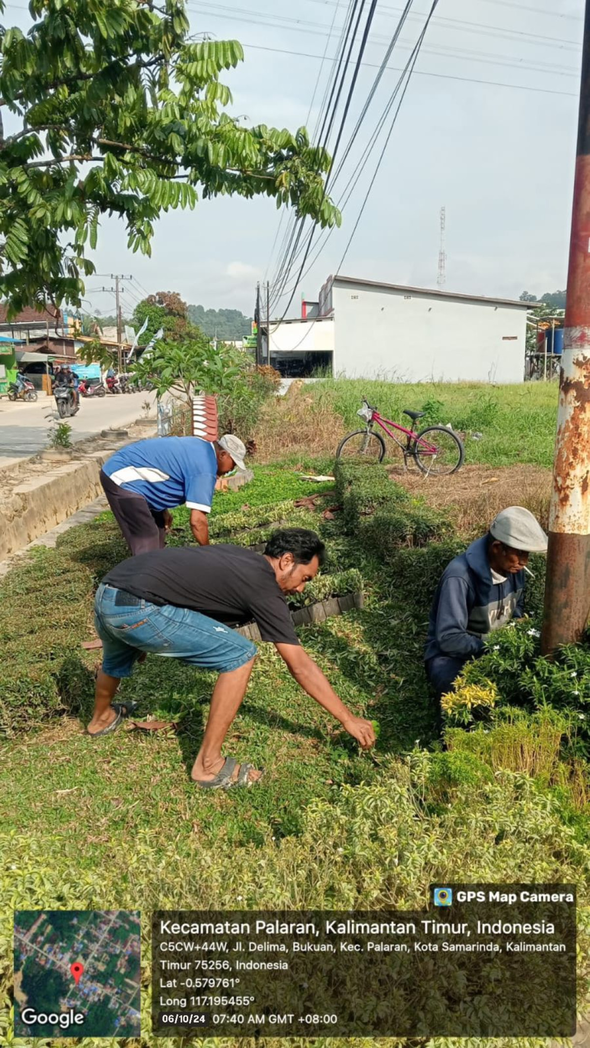 pembersihan rumput jalan dan taman