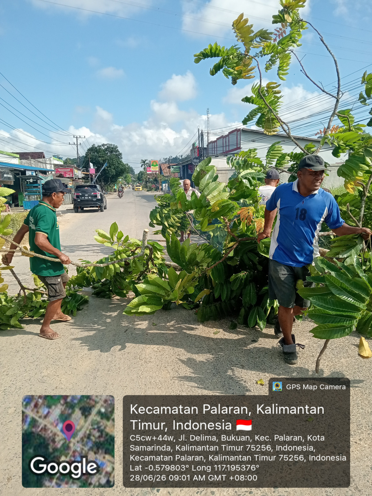Pembersihan pohon pinggir jln