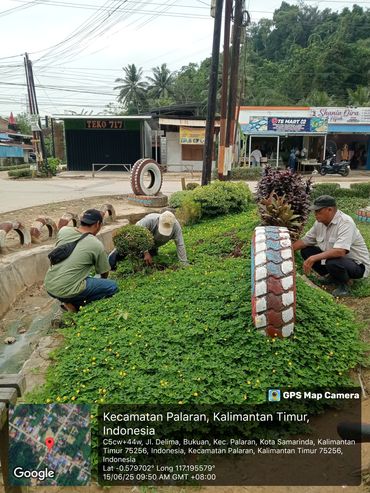 Perawatan dan kebersihan taman