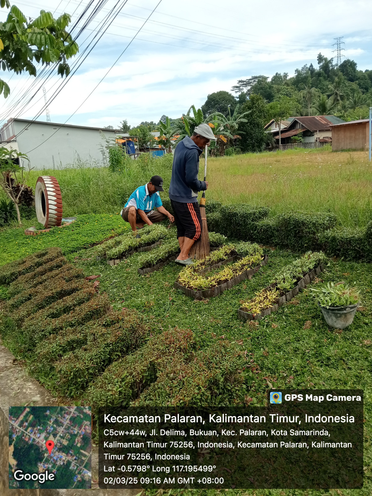 Pembersihan dan perawatan taman