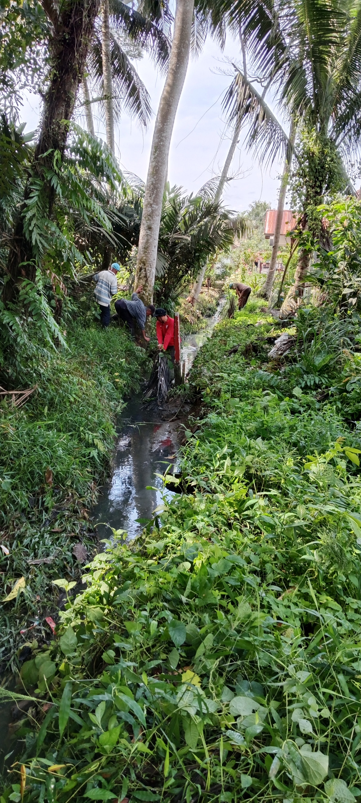 Gotong royong