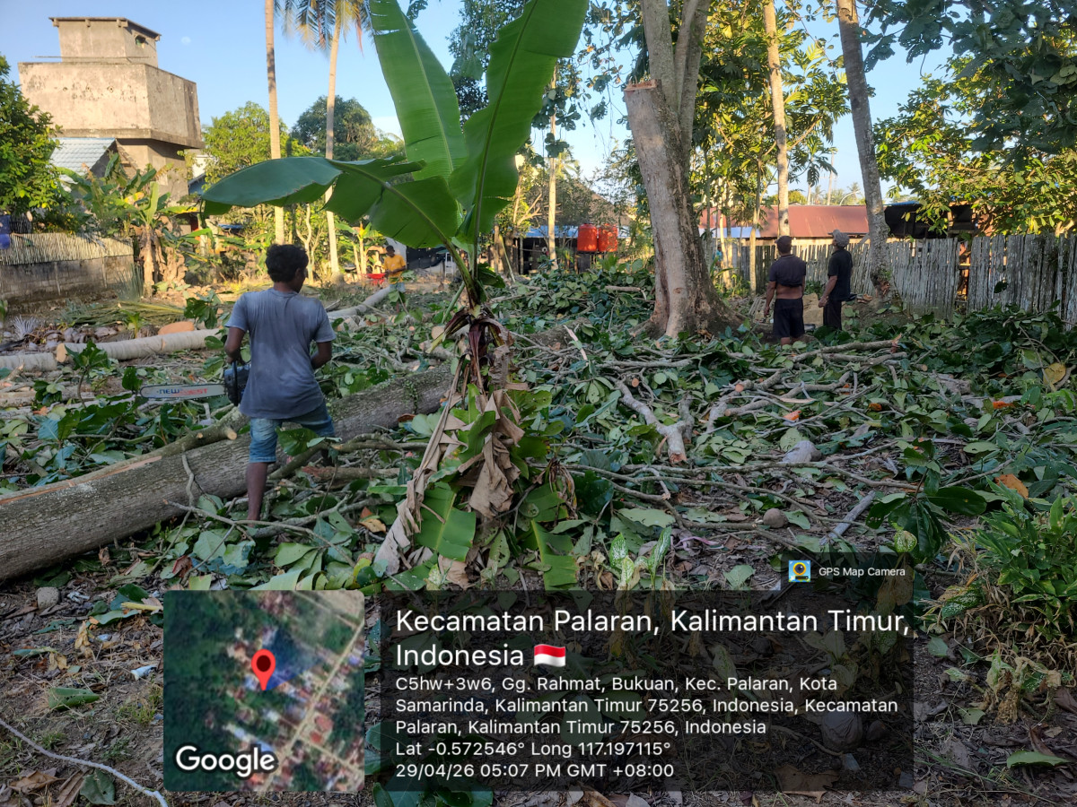 Gotong Royong Pembersihan Lingkungan RT 04 (Penebangan Pohon Besar)