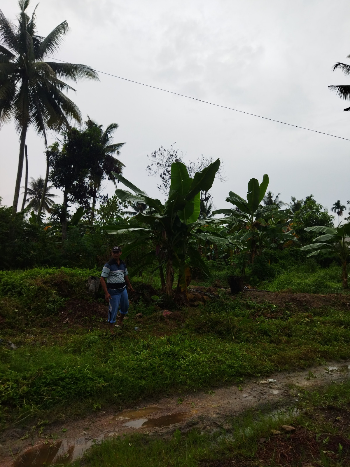 Gotong royong lingkungan