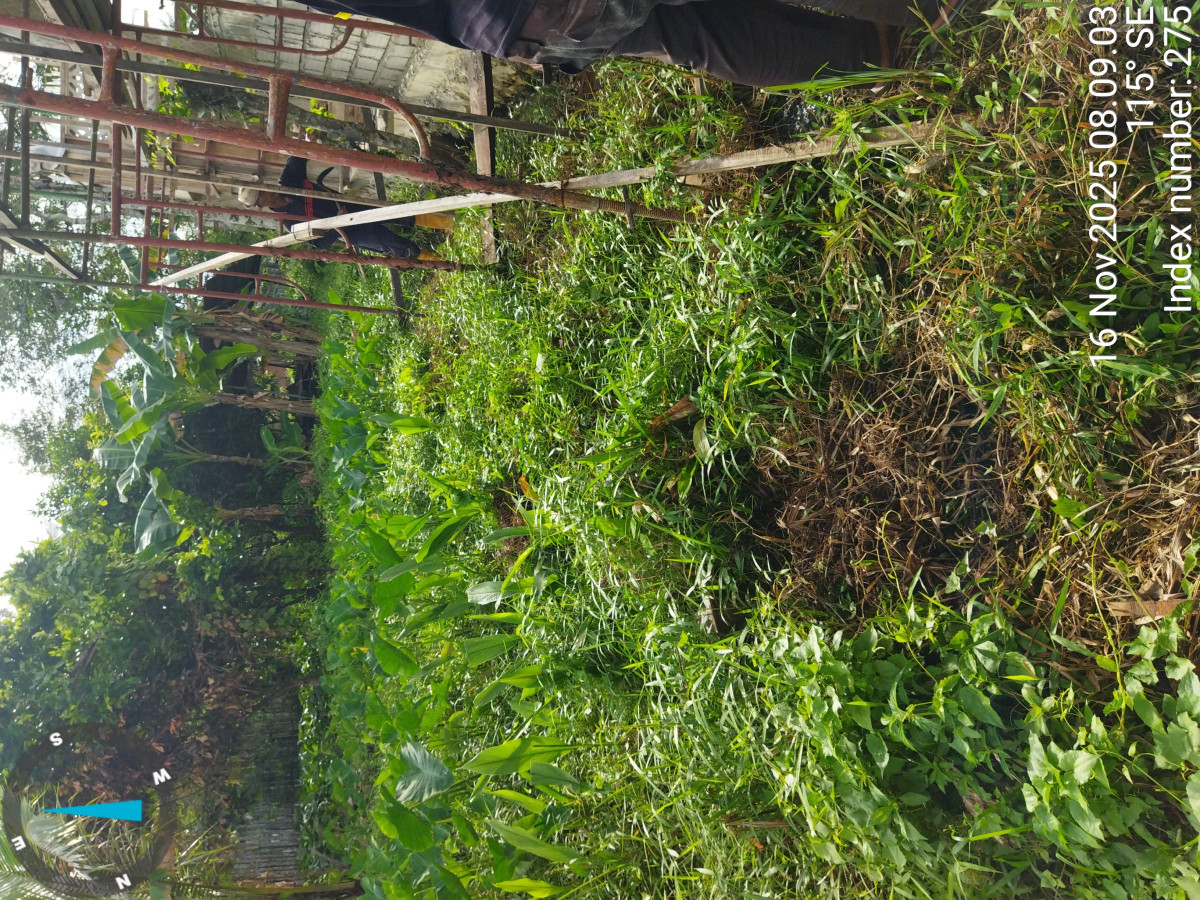 Pembersihan parit