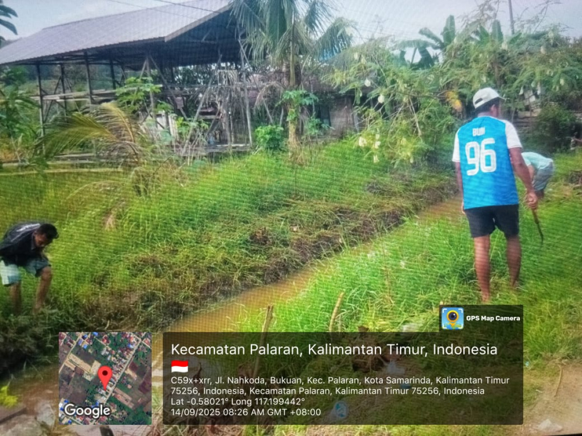 Pembersihan media jalan nahkoda