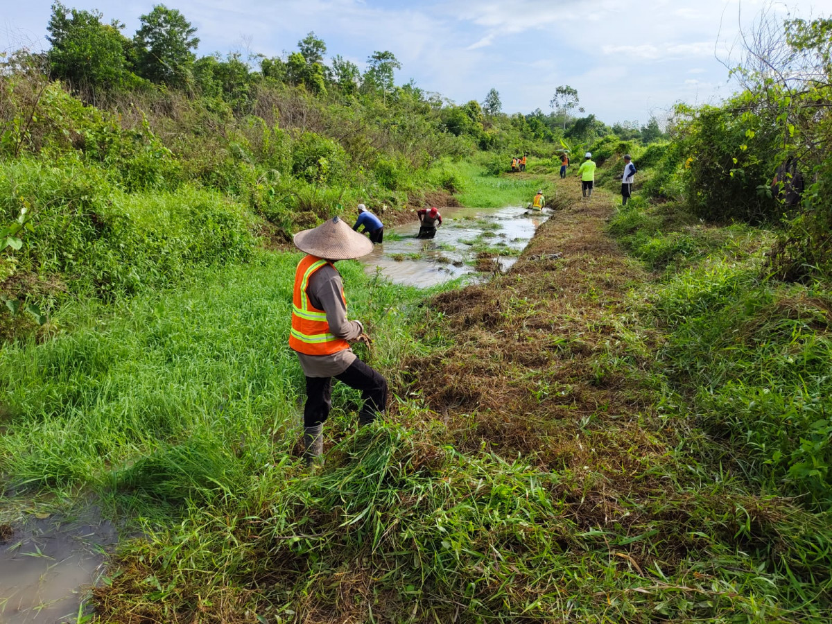 Gotong royong drainase
