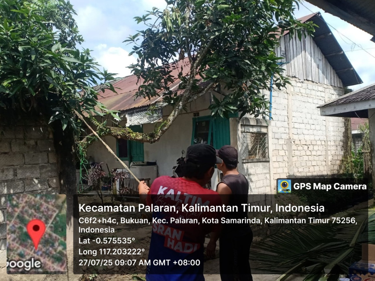 Penebangan pohon yang mengganggu kabel pln