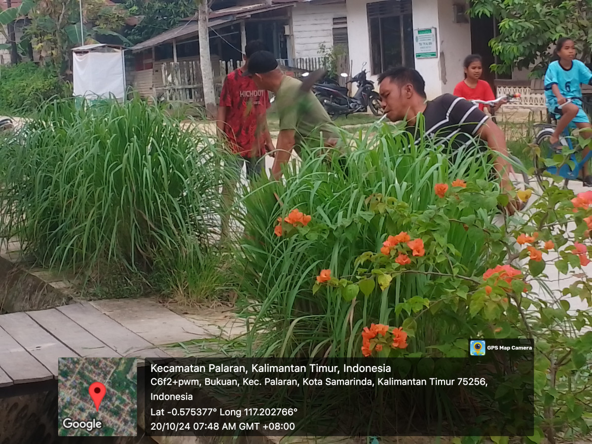 pembersihan rumput dan ranting