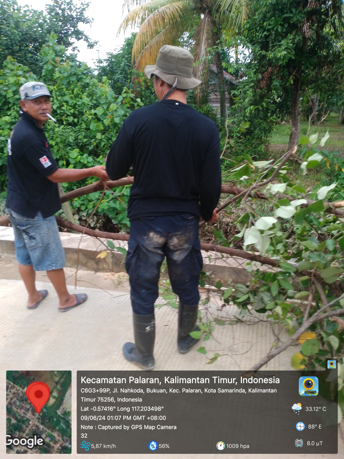 penebangan pohon pinggiran irigrasi (parit besar)