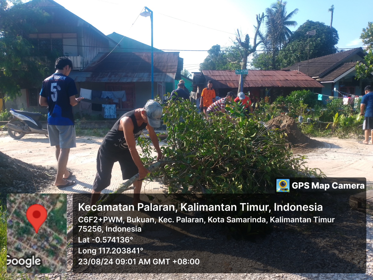 pembersihan batang dan ranting pohon paret besar