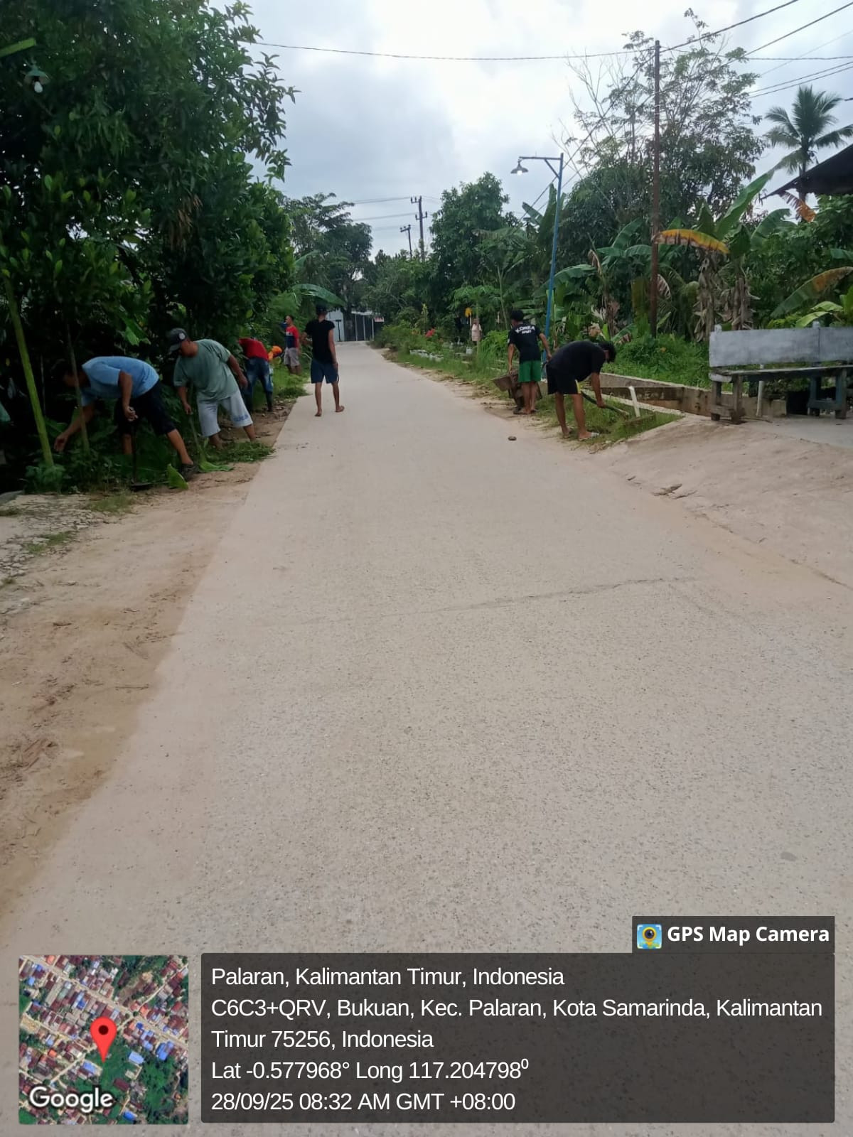 gotong royong membersihkan rumah dan menebang pohon
