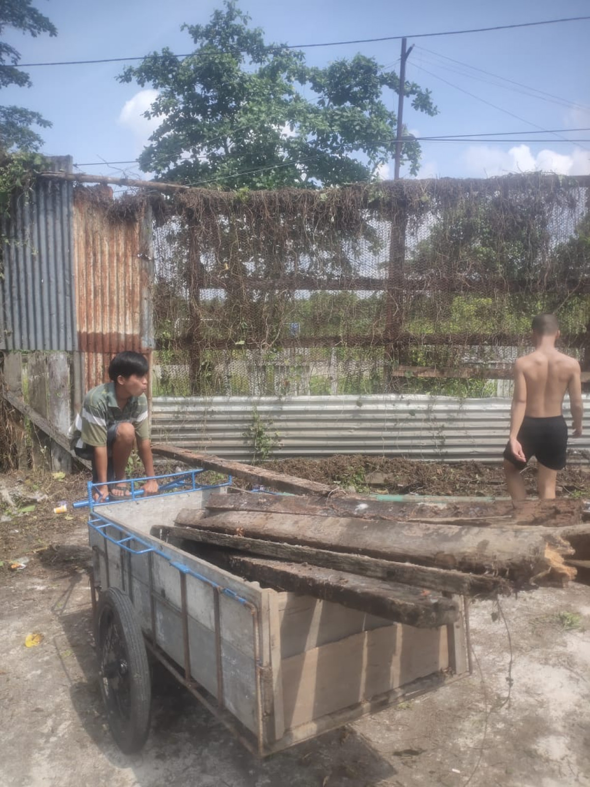 Membersihakan Area lapangan Volly