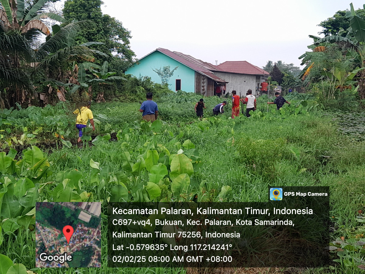Membersihkan lumpur sampah dan rumput di parit jln mulawarman gg sdn 009 RT 31 BUKUAN