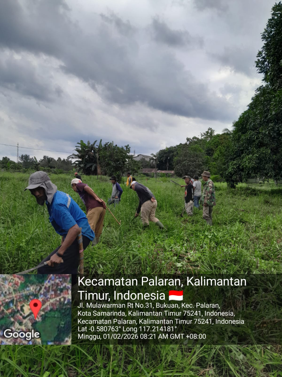 Potong rumput jln mulawarman gg SDN 009 RT 31 BUKUAN