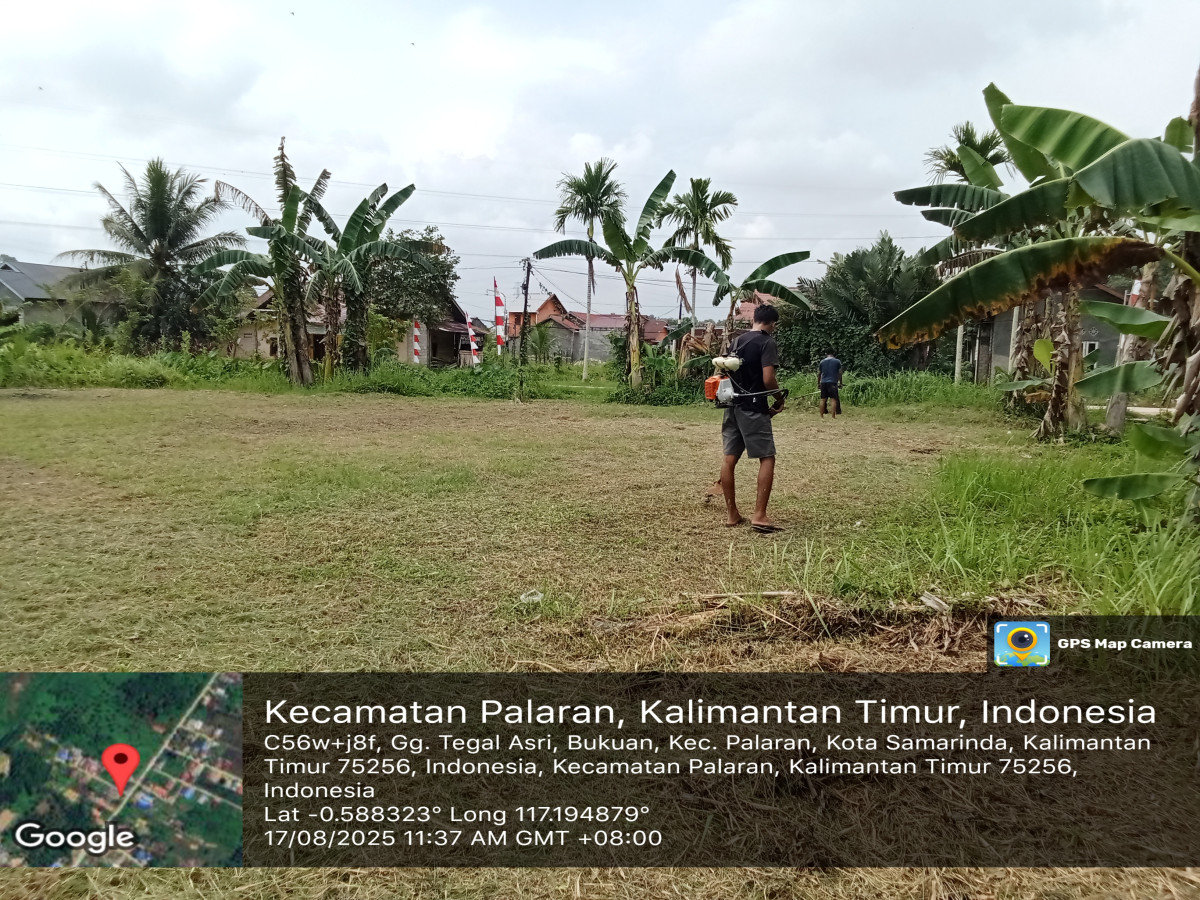 Memotong rumput lapangan foli