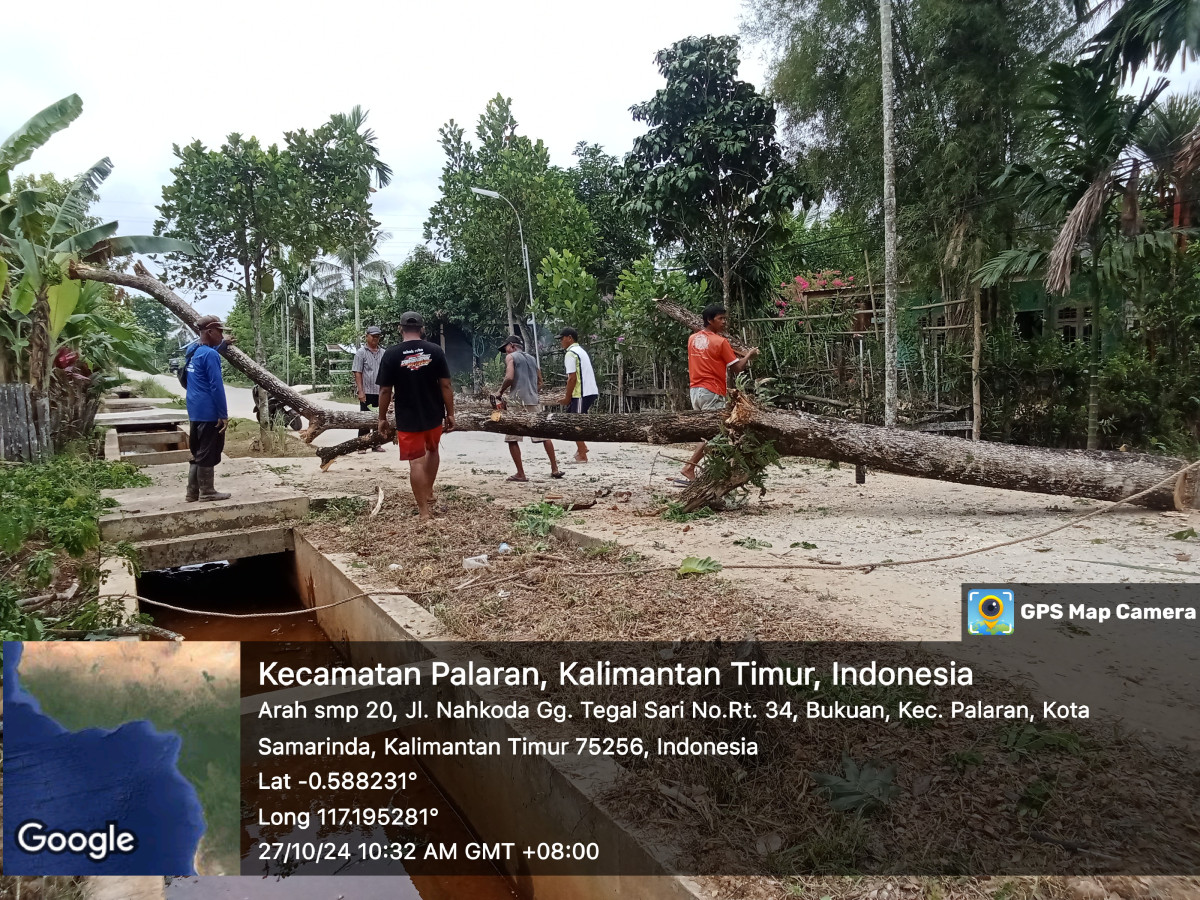 Memotong pohon membersihkan rumput di lingkungan RT 34