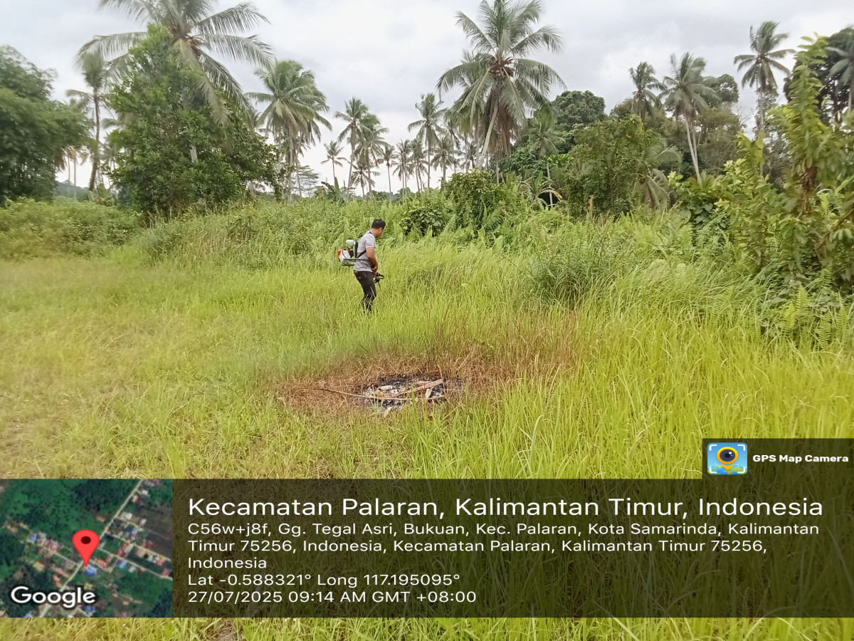 Memotong rumput lapangan foliy
