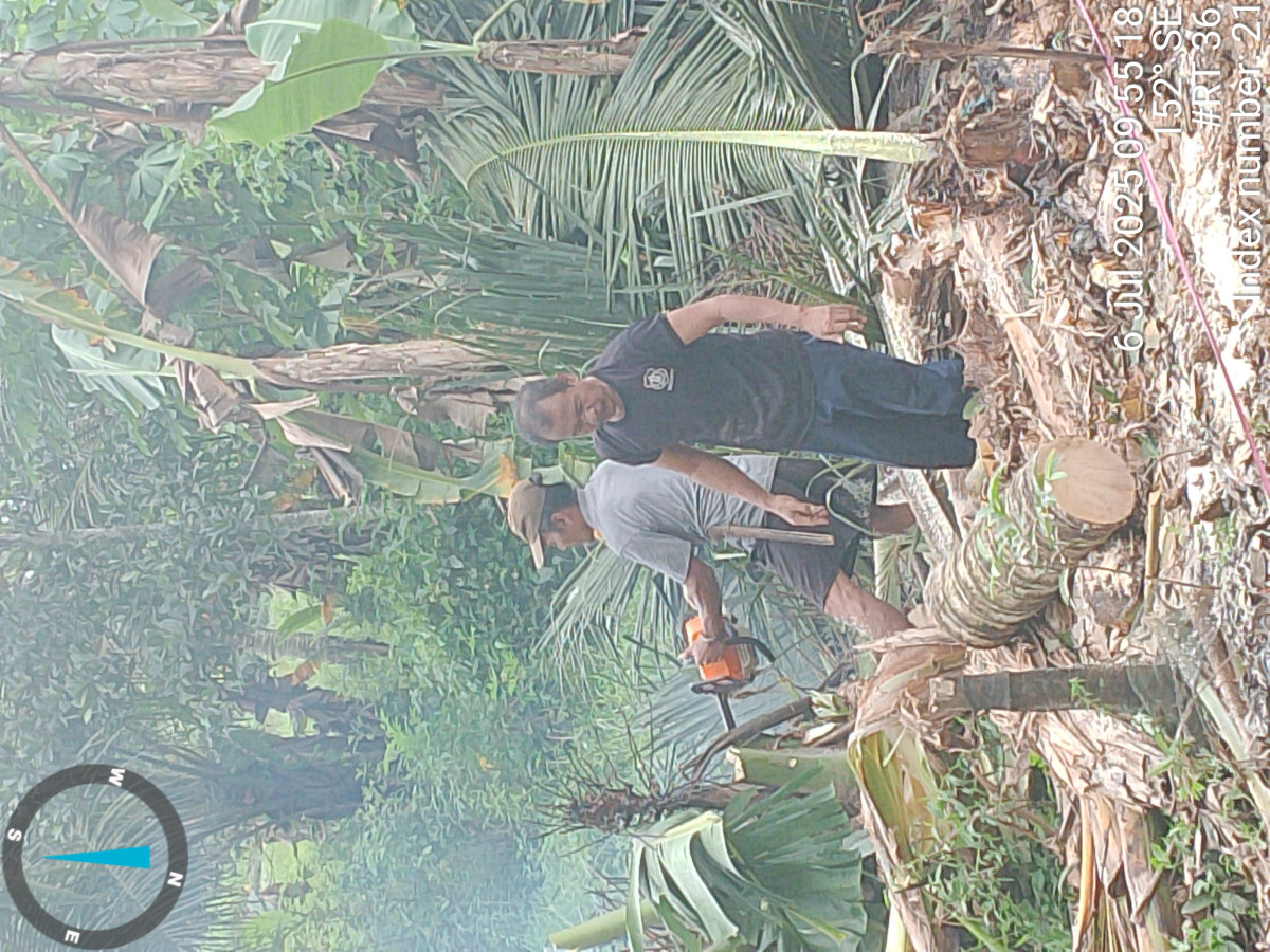 Membersihkan jalur gang yang penuh rumput